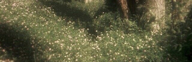 biblical truth and the lordship of&nbsp;Christ